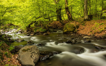 Картинка природа реки озера камни деревья лес река