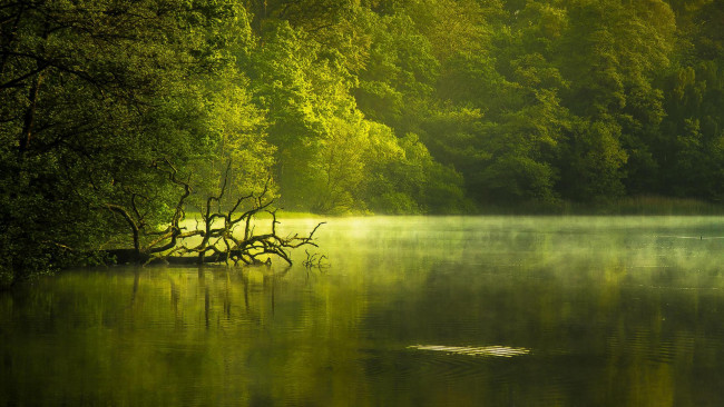 Обои картинки фото природа, реки, озера, закат, деревья, озеро