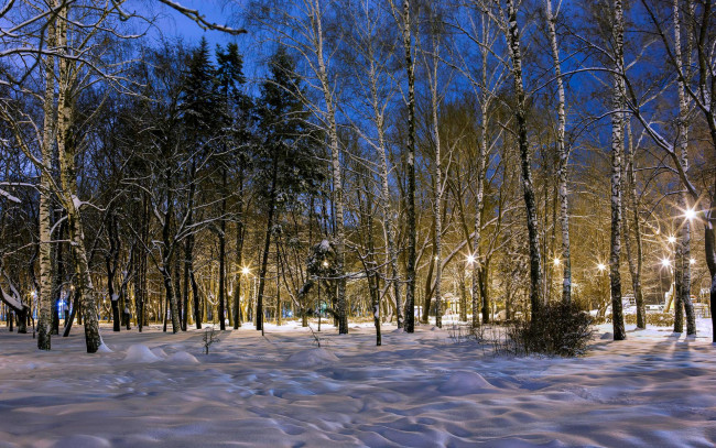 Обои картинки фото природа, парк, зима, пейзаж, k, закат, деревья