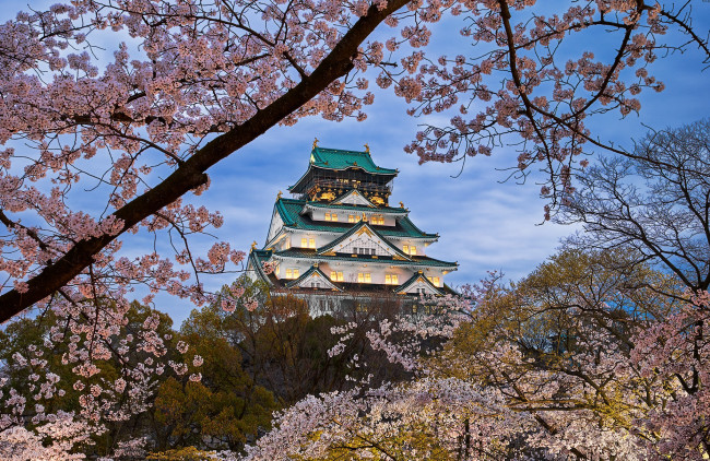 Обои картинки фото osaka castle in japan, города, осака , Япония, простор