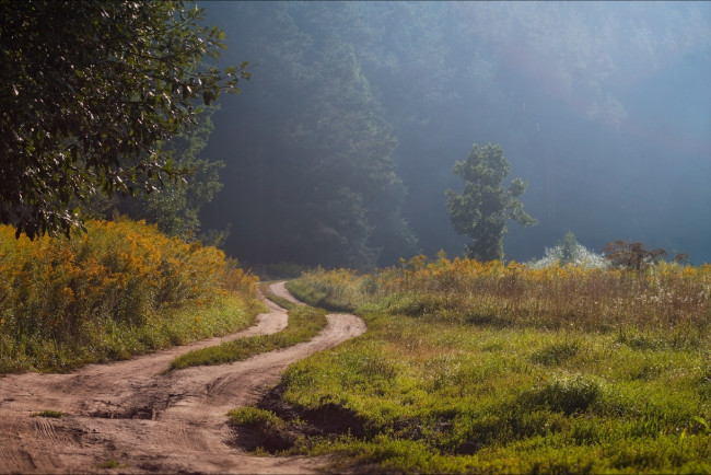 Обои картинки фото природа, дороги, лето, сергей, шабуневич, дымка, утро, лес