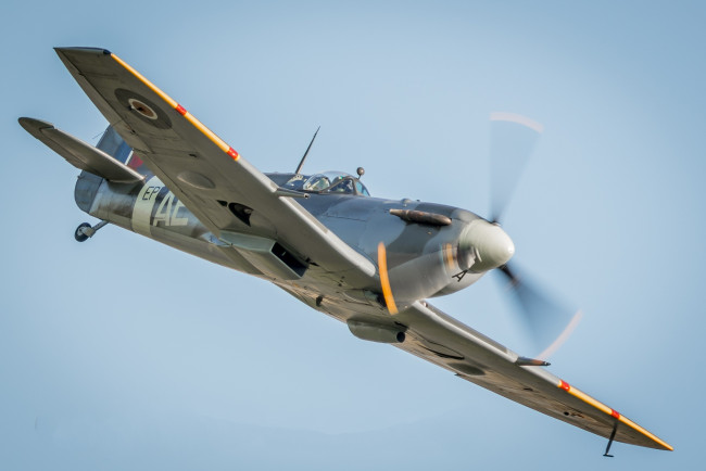 Обои картинки фото spitfire, авиация, боевые самолёты, истребитель