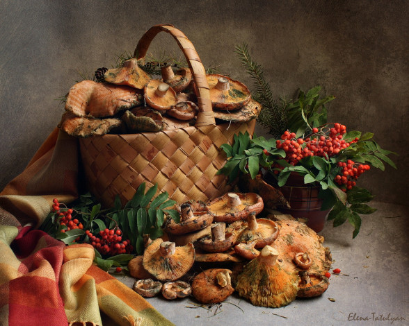 Обои картинки фото elena, ta, рыжиковый, натюрморт, еда, грибы, грибные, блюда