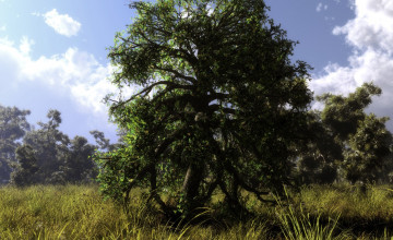 Картинка 3д графика nature landscape природа луг дерево