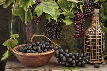 Картинка еда виноград ягоды бутыль