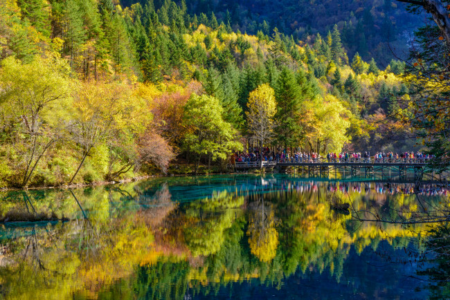 Обои картинки фото природа, реки, озера, лес, осень, река