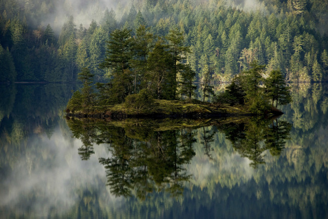 Обои картинки фото природа, реки, озера, остров, река, лес, туман