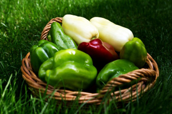 обоя еда, перец, белый, трава, корзинка, стручки, красный, зеленый