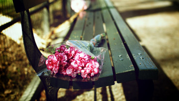 Картинка цветы гвоздики скамейка букет пестрые