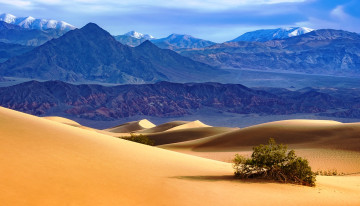 обоя долина смерти,  сша, природа, пустыни, песок, пустыня, горы, куст