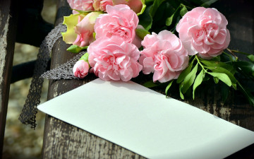 обоя цветы, гвоздики, конверт, розовый