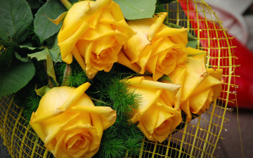 Картинка цветы розы праздник букет
