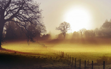 Картинка природа восходы закаты луга изгородь туман деревья утро