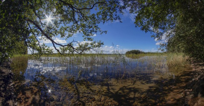 Обои картинки фото природа, реки, озера, karijarvi, lake, kouvola, озеро, кариярви, камыш, финляндия, finland, ветки, деревья, коувола