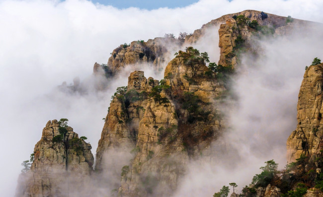 Обои картинки фото демерджи-Яйла,  крым, природа, горы, деревья, туман, скалы