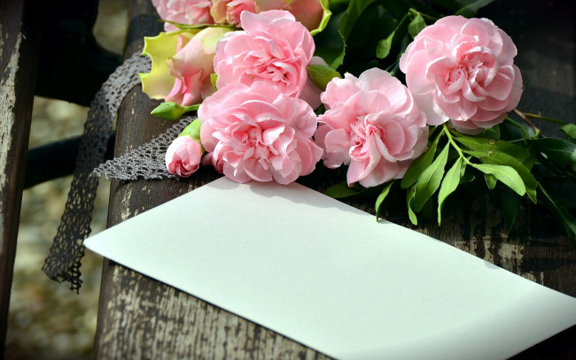 Обои картинки фото цветы, гвоздики, конверт, розовый