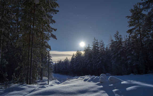 Обои картинки фото природа, зима, лес, небо, финляндия, ели, деревья, снег, сугробы
