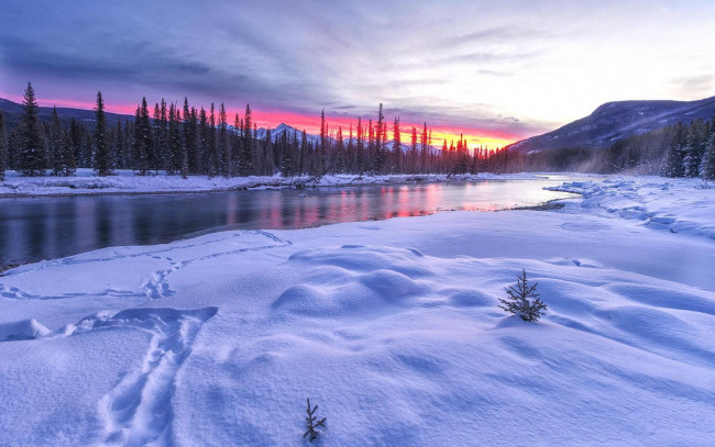 Обои картинки фото природа, зима, деревья, река, горы, закат