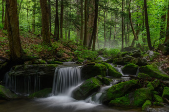 Картинка природа водопады мох река деревья лес