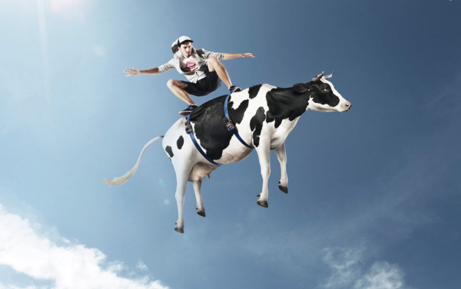 Обои картинки фото юмор и приколы, парень, корова, небо, полет