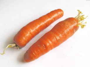 обоя еда, морковь