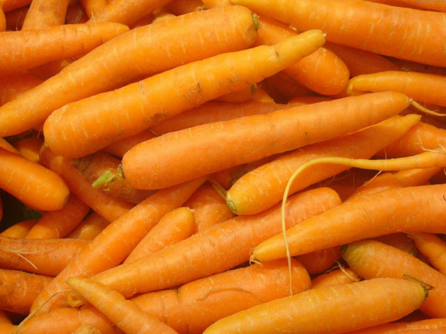 Обои картинки фото еда, морковь