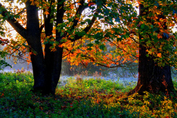 Картинка германия ульм природа реки озера река осень