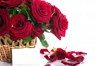 Картинка цветы розы корзинка бордо лепестки записка