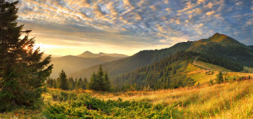 Картинка природа горы трава рассвет облака дымка деревья
