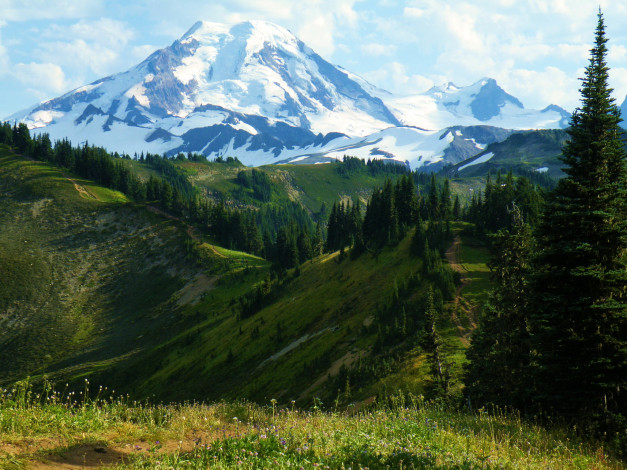 Обои картинки фото mount, baker, snoqualmie, national, forest, washington, природа, горы, лес