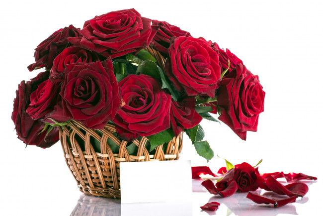 Обои картинки фото цветы, розы, корзинка, бордо, лепестки, записка