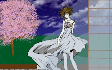 Картинка аниме tsubasa+reservoir+chronicles взгляд девушка фон