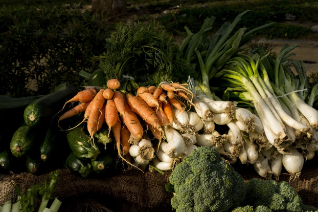 Обои картинки фото еда, овощи, урожай