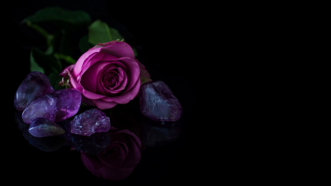 Обои картинки фото цветы, розы, камни, бутон