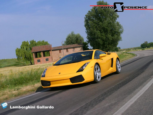 Обои картинки фото lamborghini, gallardo, автомобили