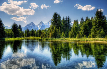 Картинка природа реки озера отражение горы деревья ель вода