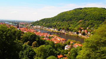 обоя heidelberg, германия, города, гейдельберг, мосты, река, дома, зелень