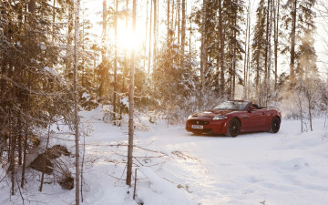 Картинка автомобили jaguar солнце лес снег кабриолет ягуар convertible xkr-s зима красный