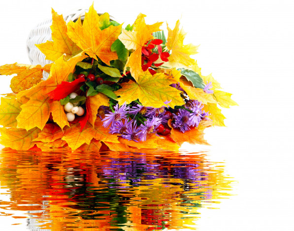 Обои картинки фото цветы, букеты,  композиции, осень, букет, ягоды, астры, листья