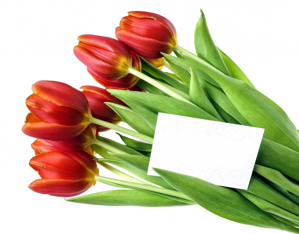 Обои картинки фото цветы, тюльпаны, бутоны, записка