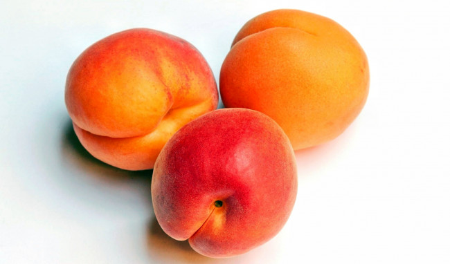Обои картинки фото еда, персики,  сливы,  абрикосы, абрикосы