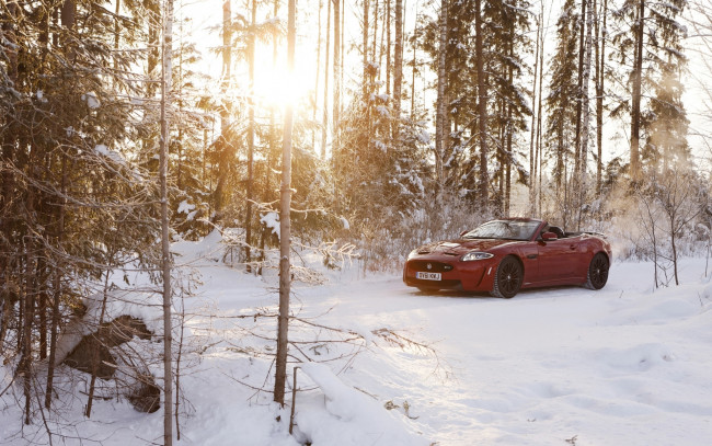 Обои картинки фото автомобили, jaguar, солнце, лес, снег, кабриолет, ягуар, convertible, xkr-s, зима, красный