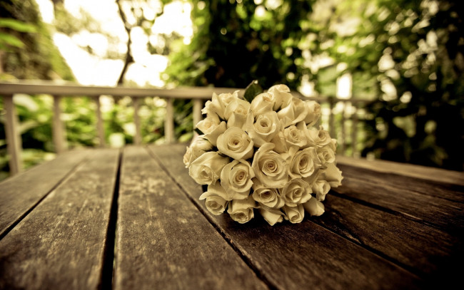 Обои картинки фото цветы, розы, белый, букет