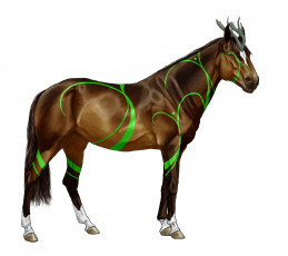 Картинка рисованное животные +сказочные +мифические лошадь