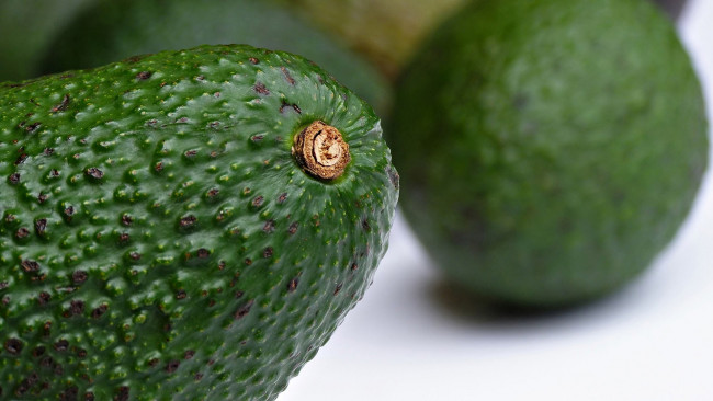 Обои картинки фото авокадо, еда