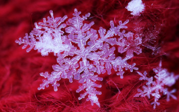 Картинка природа макро снежинки ткань кристаллы
