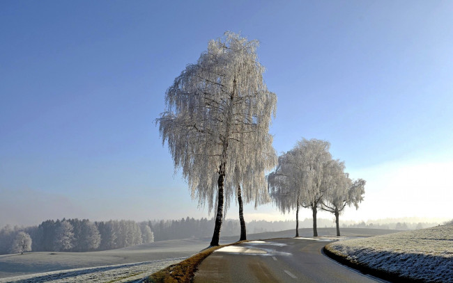 Обои картинки фото природа, дороги, зима, шоссе, деревья, снег