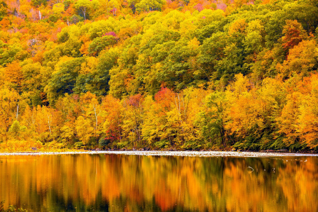 Обои картинки фото природа, реки, озера, отражение, осень, река