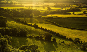 Картинка hassocks +england +great+britain природа поля рощи зелень