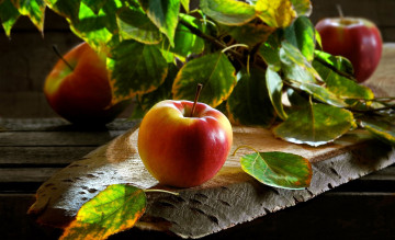 Картинка еда яблоки краснобокие листья
